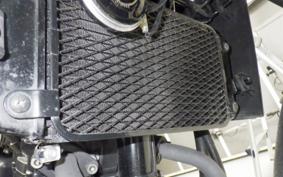 SUZUKI V-STROM 250 2021