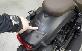 HONDA REBEL 250 S MC49