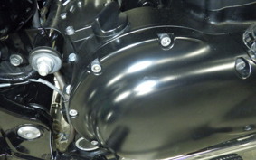 KAWASAKI W800 CAFE 2022 EJ800E