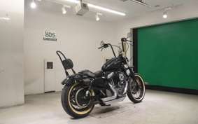 OTHER +HD. XL1200N 2011