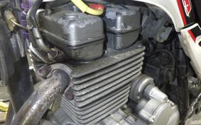 KAWASAKI SUPER SHERPA 2020 KL250G