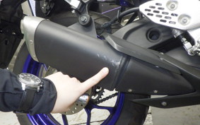 YAMAHA MT-25 2017 RG10J