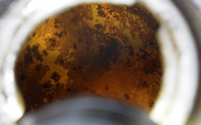 HONDA ZOOMER 2008 AF58