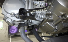HONDA MONKEY 125 2006 JB03