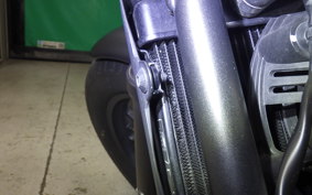 HONDA REBEL 250 A MC49