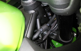 KAWASAKI ZX-4RR 2026 ZX400P