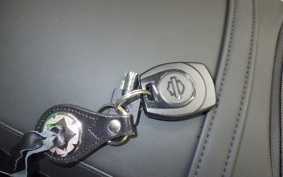 HARLEY FLTRX1920 2024