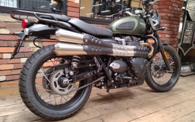 TRIUMPH SCRAMBLER 2024 DAD78G