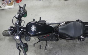 HARLEY XL1200X 2021