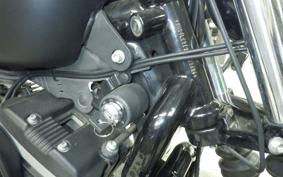 HARLEY XL883N 2010