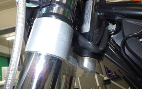 SCORPA STY125