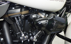 HARLEY FLHXST1920 2023