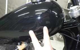 OTHER +UNREGISTERED MODEL by BDS883 2026