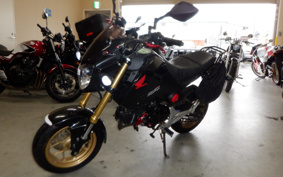 HONDA GROM JC61