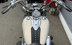 HARLEY FLSTC 2015 BW5