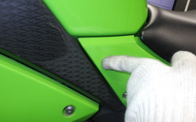 KAWASAKI NINJA 250 2022 EX250L