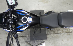 SUZUKI Vｽﾄﾛｰﾑ250SX 2014 EL11L