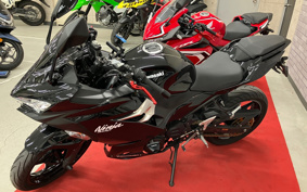 KAWASAKI NINJA 400 2021 EX400G