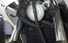 HONDA VT250FG 2008 MC15