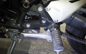 KAWASAKI NINJA H2 SX 2018 ZXT02A