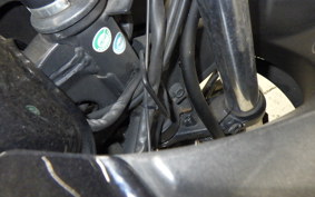 KAWASAKI NINJA 250R EX250K