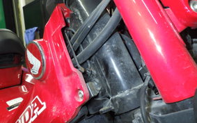 HONDA CT125 HUNTER CUB 2022 JA55