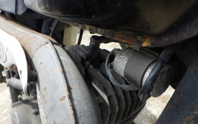 HONDA ELSINORE 250 MT250