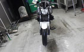 YAMAHA MT-25 RG10J