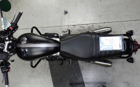 OTHER +ﾄｱｲｱﾝﾌｽﾄﾘｰﾄﾂｲﾝ900 2021