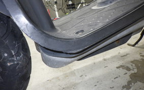 HONDA ZOOMER 2024 AF58