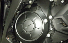 YAMAHA YZF-R25 RG43J