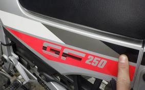 SUZUKI GF250 S GJ71C