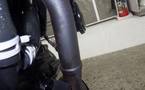 HUSQVARNA SVARTPILEN 250