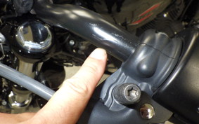 HARLEY XL1200X 2019