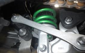 KAWASAKI NINJA H2 SX 2023