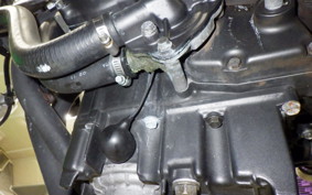 HONDA HORNET 250 MC31