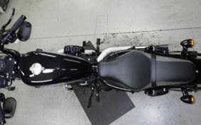 HARLEY XL1200NS 2019