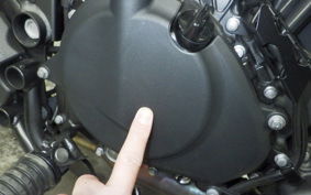 KAWASAKI ELIMINATOR400-3 2024 EL400A