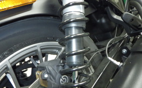 HARLEY RH975S 2025