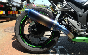 KAWASAKI Ninja 250 SE EX250L