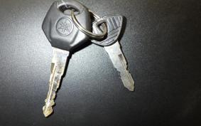 YAMAHA YZF-R3 2015 RH07J