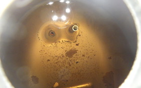 HONDA C50 SUPER CUB 2021 AA01