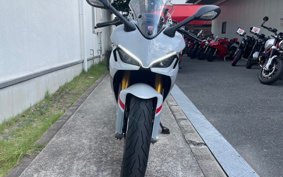 DUCATI SUPER SPORT 950S 2024 1V00