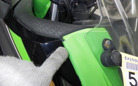 KAWASAKI NINJA 250 2001 EX250L