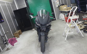 YAMAHA YZF-R25 RG43J