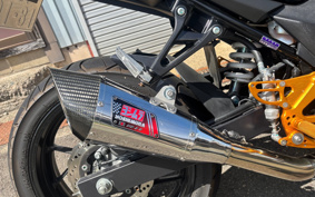 SUZUKI GSX250 R DN11A