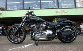 HARLEY FXBRS 2021 YHK