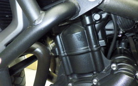 TRIUMPH TIGER 800 XR X 2015