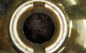 HONDA MONKEY 2024 Z50J