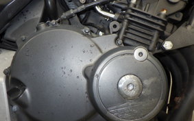 HONDA HORNET 250 MC31